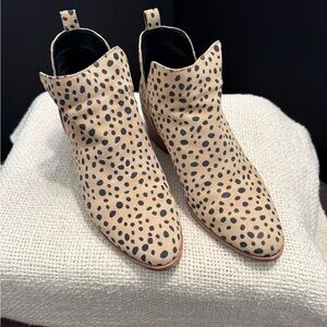 Dolce Vita leopards suede booties